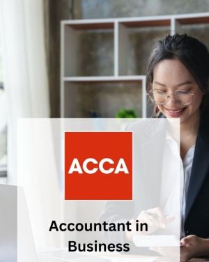 Accountant in Business