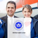 cabin-crew.jpg